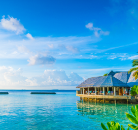 Kerala Property